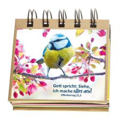 Haftnotizen-Set - Jahreslosung 2026 - Vogel 