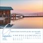 morepic-11