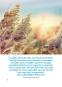 morepic-5