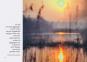 morepic-6