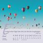 morepic-7