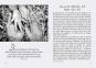 morepic-8